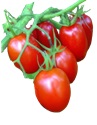 Juliet grape tomato