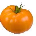 tomatoes/orange-wellington